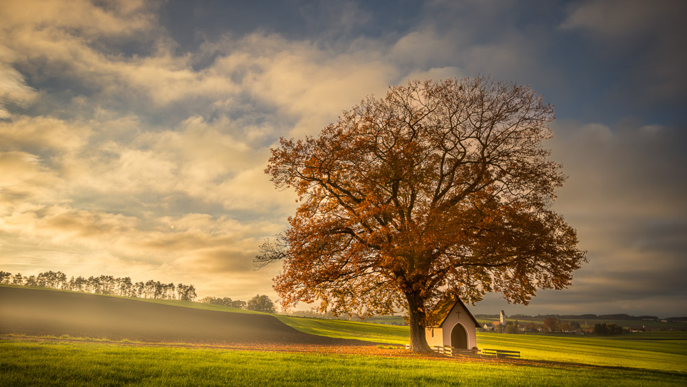 Platz 3 Anton Kienle